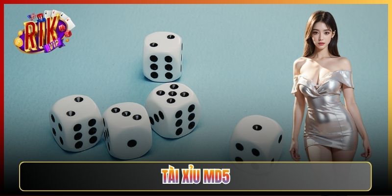 Tài Xỉu MD5 Rikvip Là Gì Và Cách Tự Kiểm Tra Kết Quả