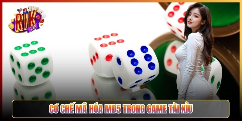 Cơ Chế Mã Hóa MD5 Trong Game Tài Xỉu