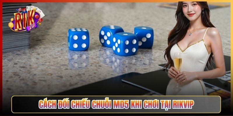 Cách Đối Chiếu Chuỗi MD5 Khi Chơi Tại Rikvip