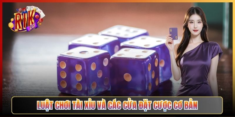 Luật Chơi Tài Xỉu Và Các Cửa Đặt Cược Cơ Bản