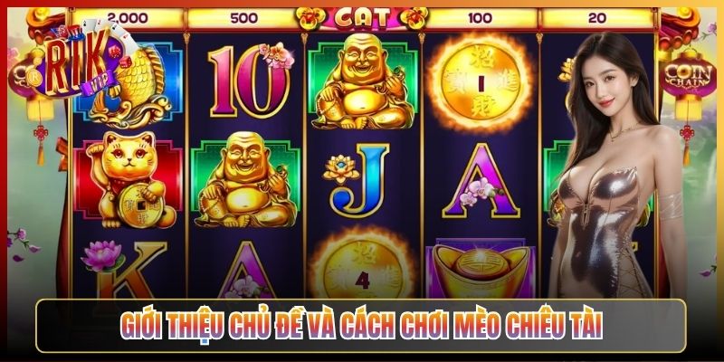 Giới Thiệu Chủ Đề Và Cách Chơi Mèo Chiêu Tài