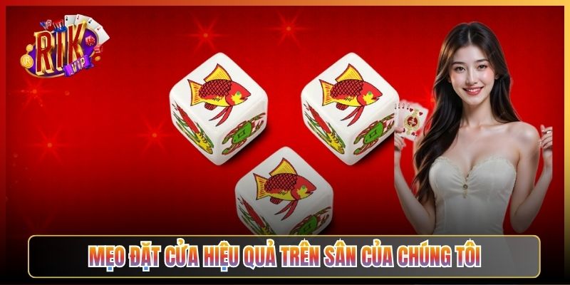 Mẹo Đặt Cửa Hiệu Quả Trên Sân Của Chúng Tôi